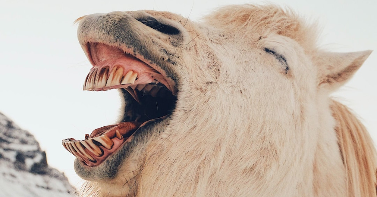 10 Heartwarming Anniversary Quotes to Keep the Spark Alive