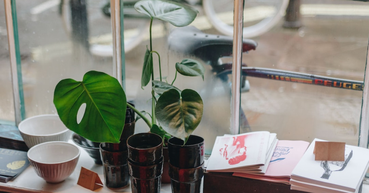 Healthy quinoa bowl variety for meal prep inspiration.