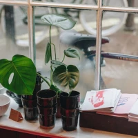 Healthy quinoa bowl variety for meal prep inspiration. Healthy quinoa bowl variety for meal prep inspiration.