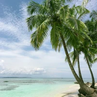 100+ Beach Sunrise Captions for Instagram: Perfect Sun-Kissed Moments 100+ Beach Sunrise Captions for Instagram: Perfect Sun-Kissed Moments