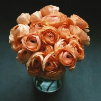 100+ Valentines Day Text Messages for Him: Unleash Your Romantic Side 100+ Valentines Day Text Messages for Him: Unleash Your Romantic Side