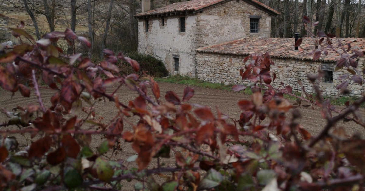 Top 15 Champagne Brands for All Your Celebrations