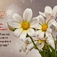 150+ Lovely Good Morning Messages For Sister to Brighten Her Day 150+ Lovely Good Morning Messages For Sister to Brighten Her Day