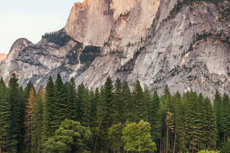 2. First Time Skiing Captions for Instagram for Nature Lovers 100+ First Time Skiing Captions for Instagram That Will Wow Your Followers