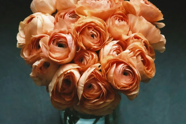 2. Good Afternoon Messages for Her for Appreciation 100+ Good Afternoon Messages for Her: Make Her Day Brighter