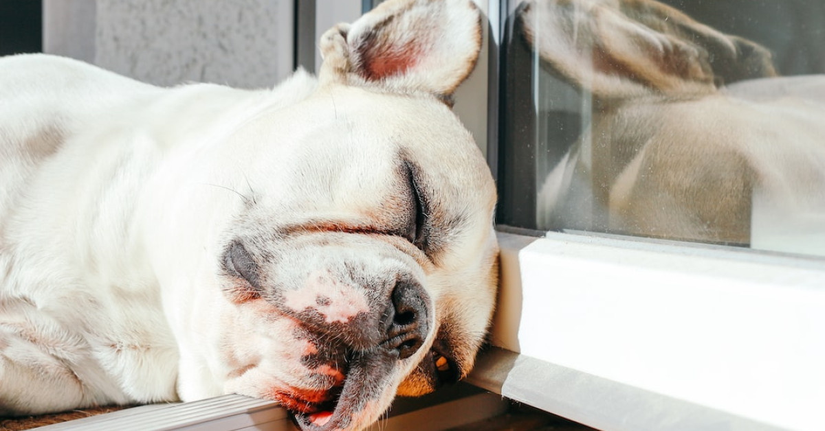 Image of heartwarming anniversary quotes to delight your partner.