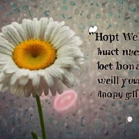 240+ Heartfelt Get Well Soon Wishes to Brighten Their Day 240+ Heartfelt Get Well Soon Wishes to Brighten Their Day