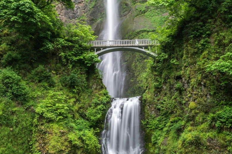 3. Funny Sunrise Captions for Instagram for Nature Lovers 100+ Funny Sunrise Captions for Instagram: Start Your Day with a Smile