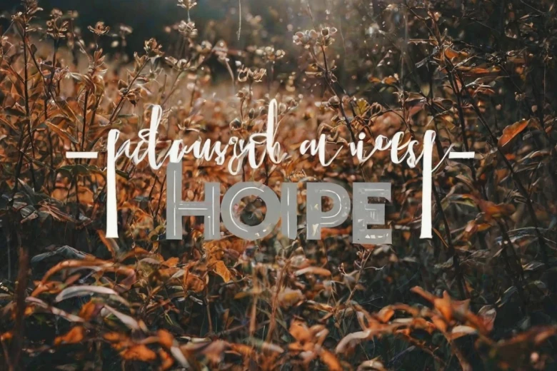 3. Hard Hitting Bible Verses for Instagram Captions for Hope 100+ Hard Hitting Bible Verses for Instagram Captions: Inspire and Reflect