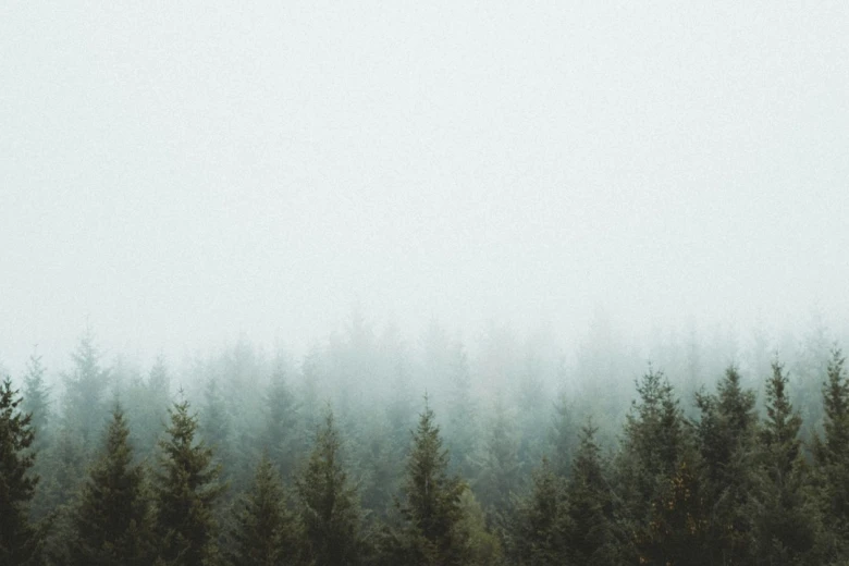 3. Instagram Captions About Colorado for Nature Lovers 100+ Instagram Captions About Colorado: Stunning Sceneries & Adventure Awaits