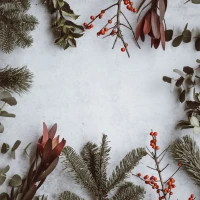 320+ Merry Christmas Messages & SMS Text to Write in a Card â Spread Joy Now! 320+ Merry Christmas Messages & SMS Text to Write in a Card â Spread Joy Now!
