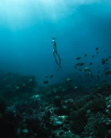 Couple diving together showcasing underwater passion and connection.