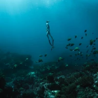 Couple diving together showcasing underwater passion and connection. Couple diving together showcasing underwater passion and connection.