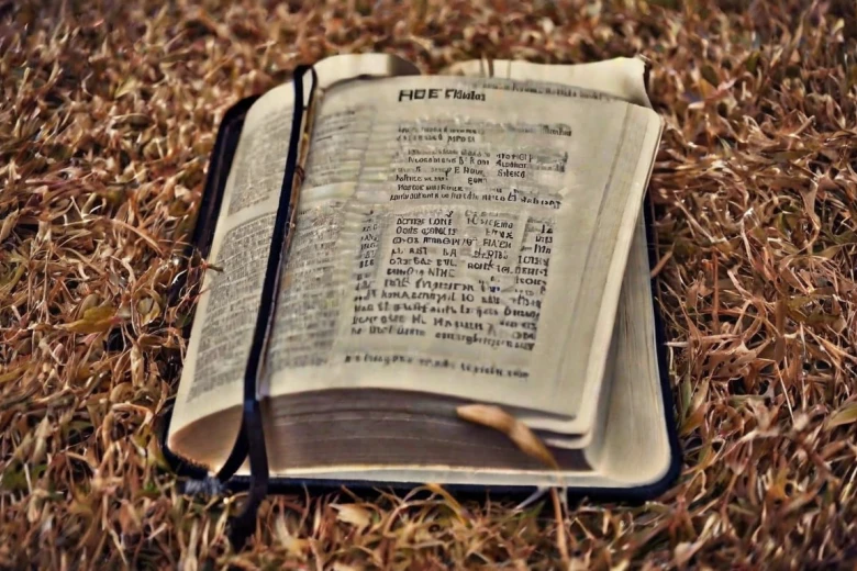 4. Hard Hitting Bible Verses for Instagram Captions for Strength 100+ Hard Hitting Bible Verses for Instagram Captions: Inspire and Reflect