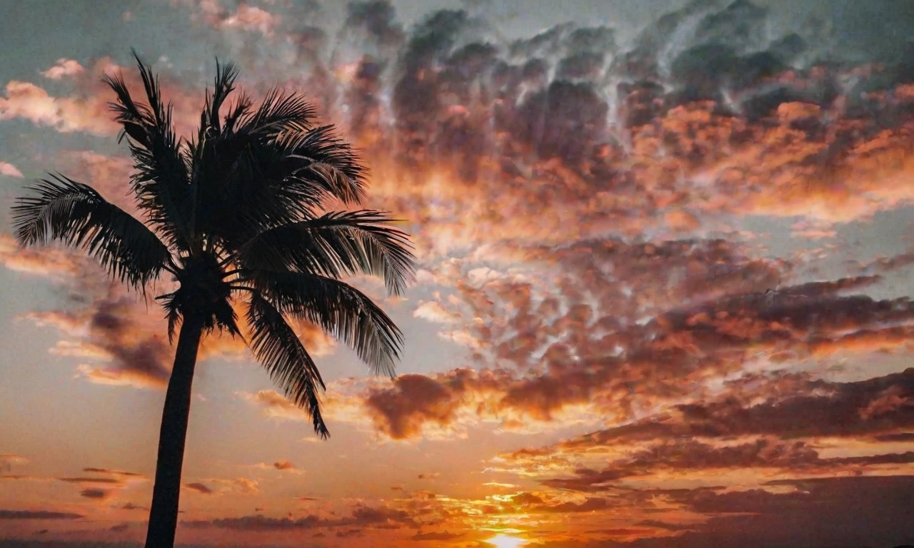 400+ Gorgeous Sunset Instagram Captions You Can't Miss