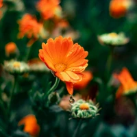 55+ Friday Captions to Kickstart an Unforgettable Weekend! 55+ Friday Captions to Kickstart an Unforgettable Weekend!