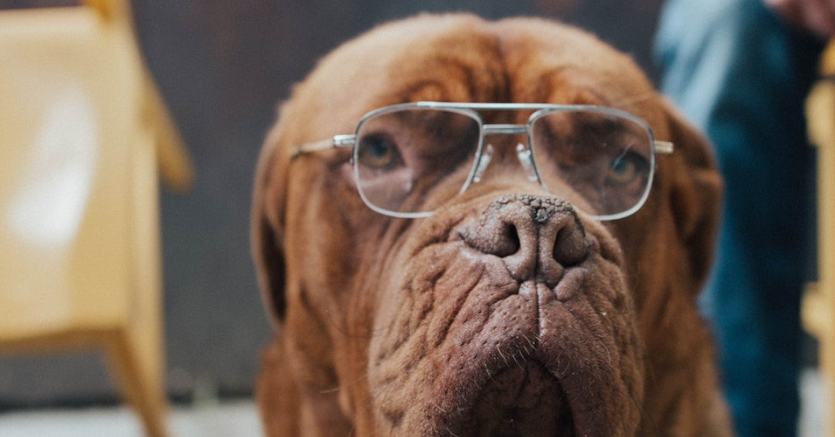 50 funny anniversary quotes and messages image for sharing