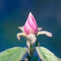 Shop stunning jewelry gifts for your special anniversary Shop stunning jewelry gifts for your special anniversary