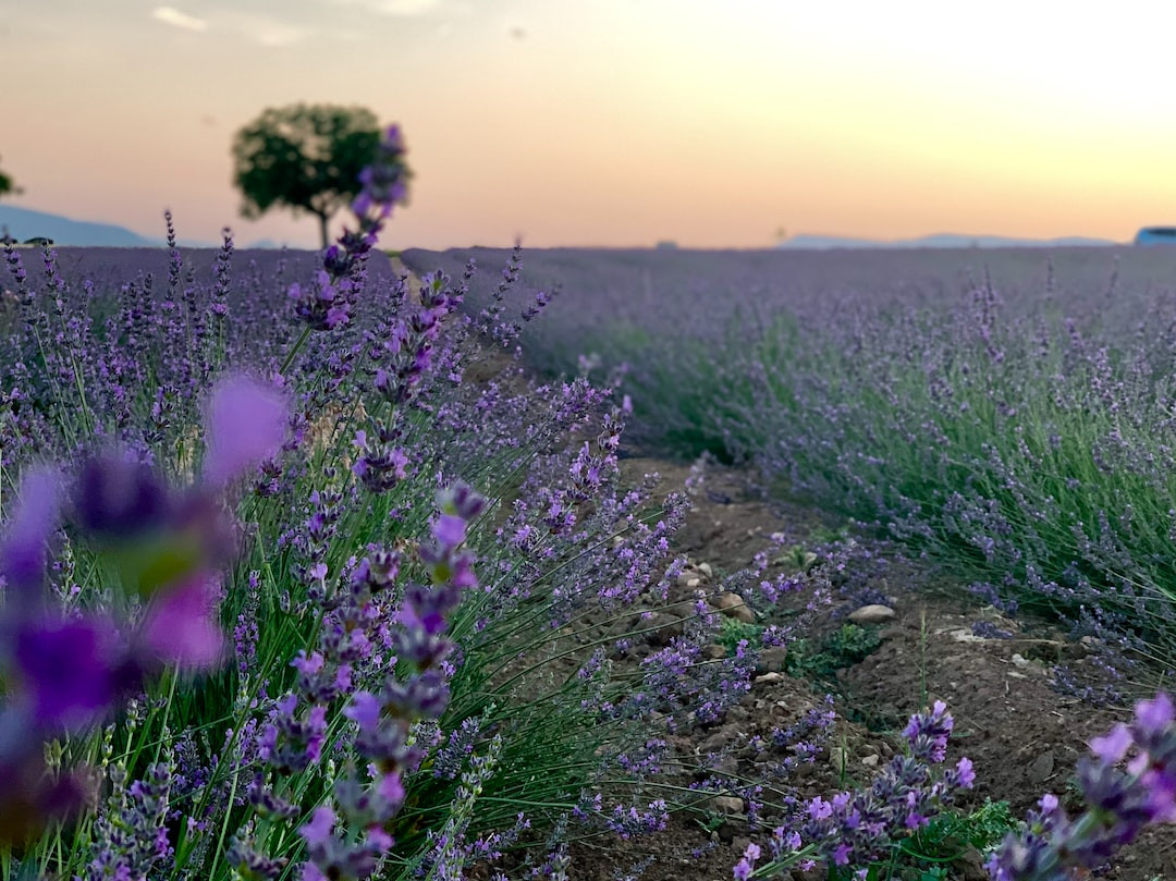 Happy couple celebrating 6-month anniversary with romantic decor.