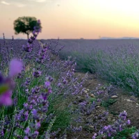 Happy couple celebrating 6-month anniversary with romantic decor. Happy couple celebrating 6-month anniversary with romantic decor.