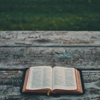 74 Inspirational Bible Verses For Children: Unlock Faith and Joy 74 Inspirational Bible Verses For Children: Unlock Faith and Joy