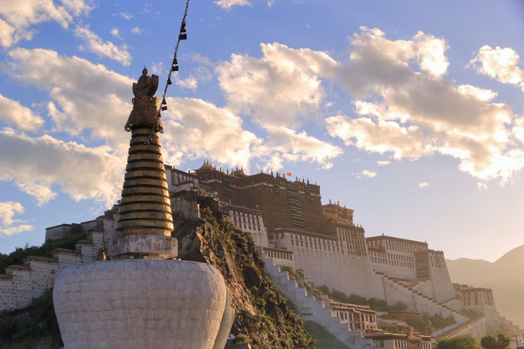8. Lhasa Apso