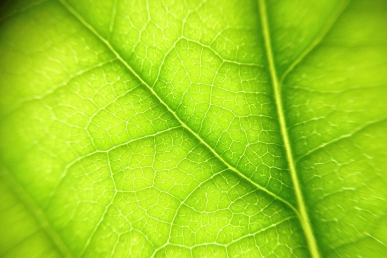 9. Good Afternoon Messages for Her for Comfort 100+ Good Afternoon Messages for Her: Make Her Day Brighter