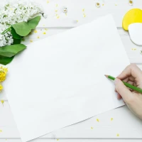 Juicy brisket flat with colorful vegetables recipe. Juicy brisket flat with colorful vegetables recipe.