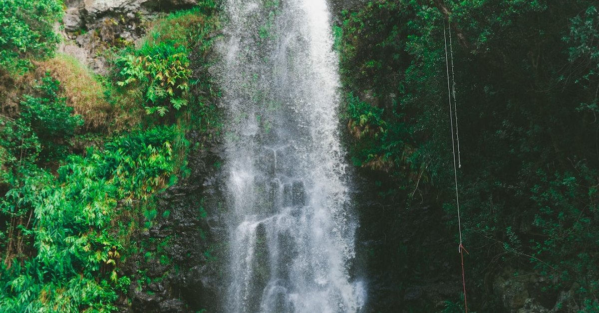 Guide to mastering financial transfer ratio for business acumen