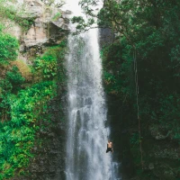 Guide to mastering financial transfer ratio for business acumen Guide to mastering financial transfer ratio for business acumen