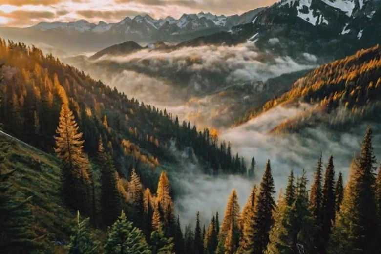 Best nature captions for Instagram 100+ Best and Short Nature Captions for Instagram 2024: Elevate Your Posts