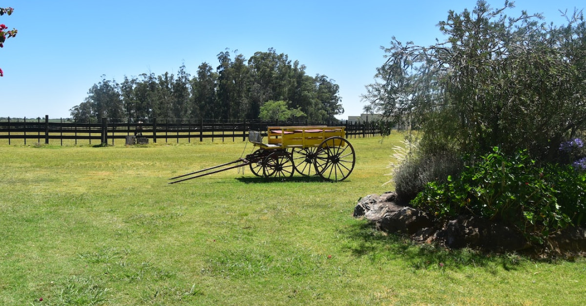 Explorers diving at 23 educational underwater sites.