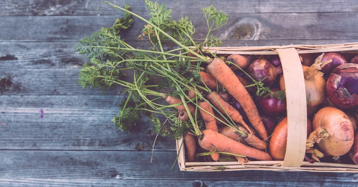 Fresh broccoli florets on white background, superfood concept.