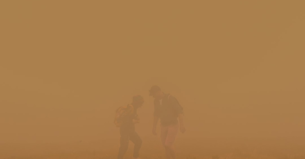 Roasted Brussels Sprouts with Caramelized Brown Sugar Glaze.