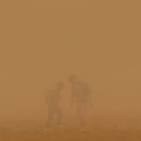 Roasted Brussels Sprouts with Caramelized Brown Sugar Glaze. Roasted Brussels Sprouts with Caramelized Brown Sugar Glaze.