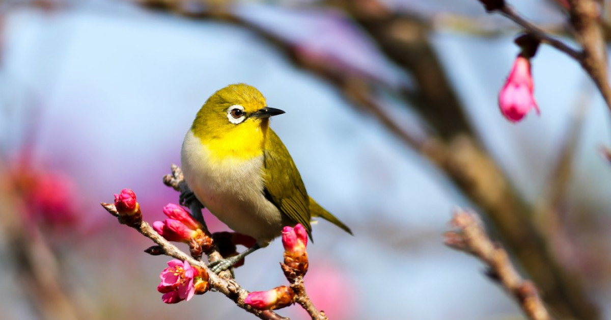 Ladybird deed discussion for estate planning on a whiteboard.