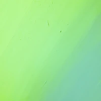 Chickens pecking at green beans on a farm. Chickens pecking at green beans on a farm.