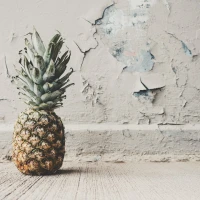 Chickens pecking pineapple, revealing dietary truths. Chickens pecking pineapple, revealing dietary truths.