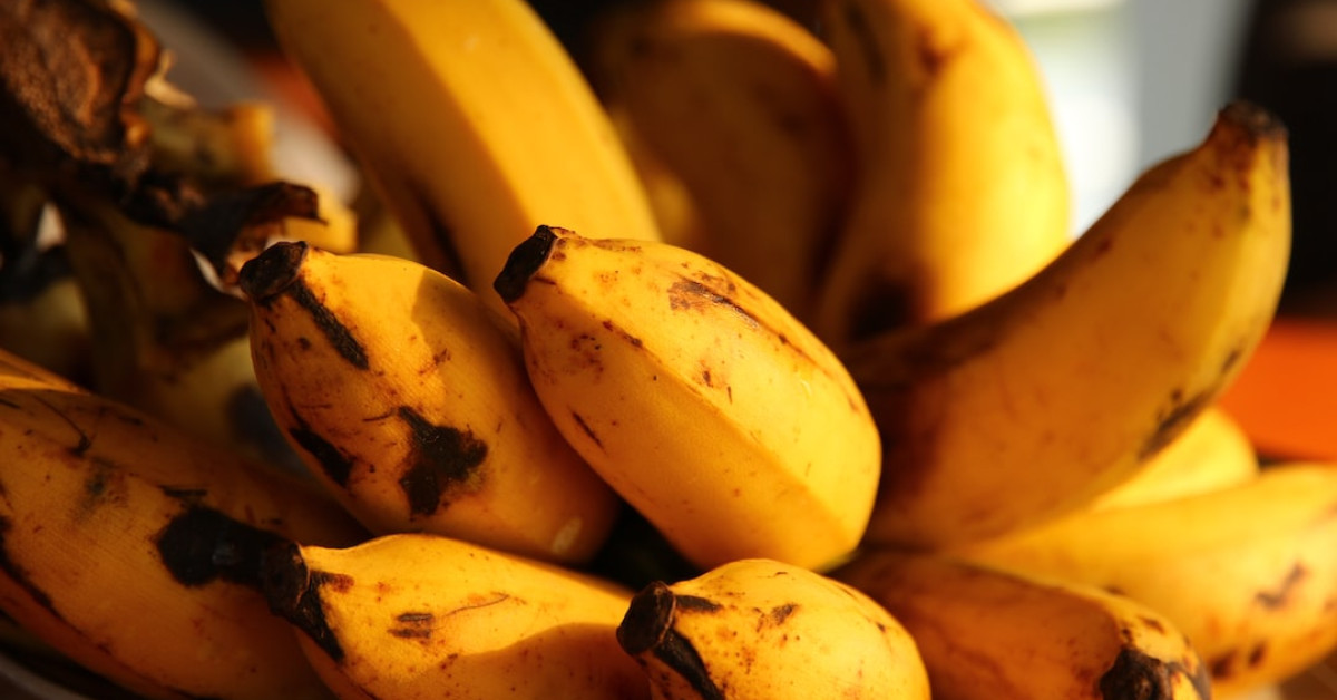 Dog eating banana to explore health benefits