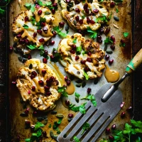 Dogs with oranges: myths about citrus in canine diets. Dogs with oranges: myths about citrus in canine diets.