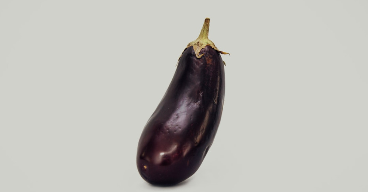 Dogs and eggplant safety guide infographic for pet owners.