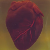 Couple celebrating love with heartwarming anniversary quotes Couple celebrating love with heartwarming anniversary quotes