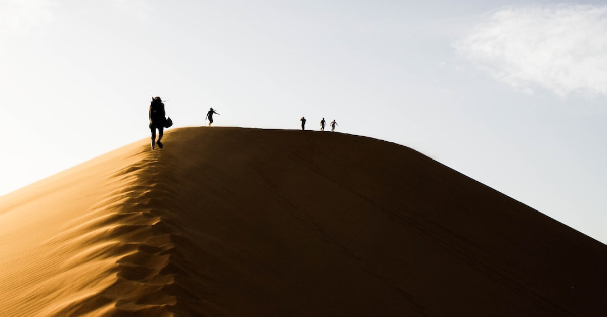 Hot Wheels 50th Anniversary Celebration Guide Cover Image