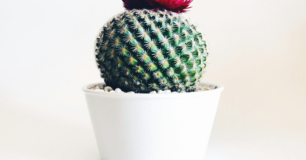 Grandma celebrating first year with heartfelt gifts and joy.