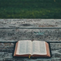 Anniversary Bible verses for vow renewal and spiritual love. Anniversary Bible verses for vow renewal and spiritual love.