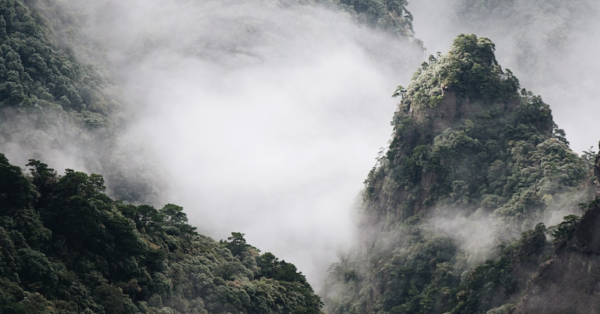 Satirical Chinese caricature relating to 9/11 remembrance.