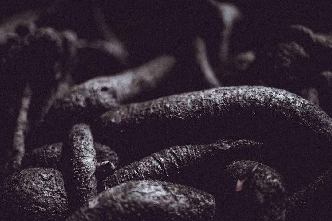 Coffee vs Twisted Tea comparison infographic.