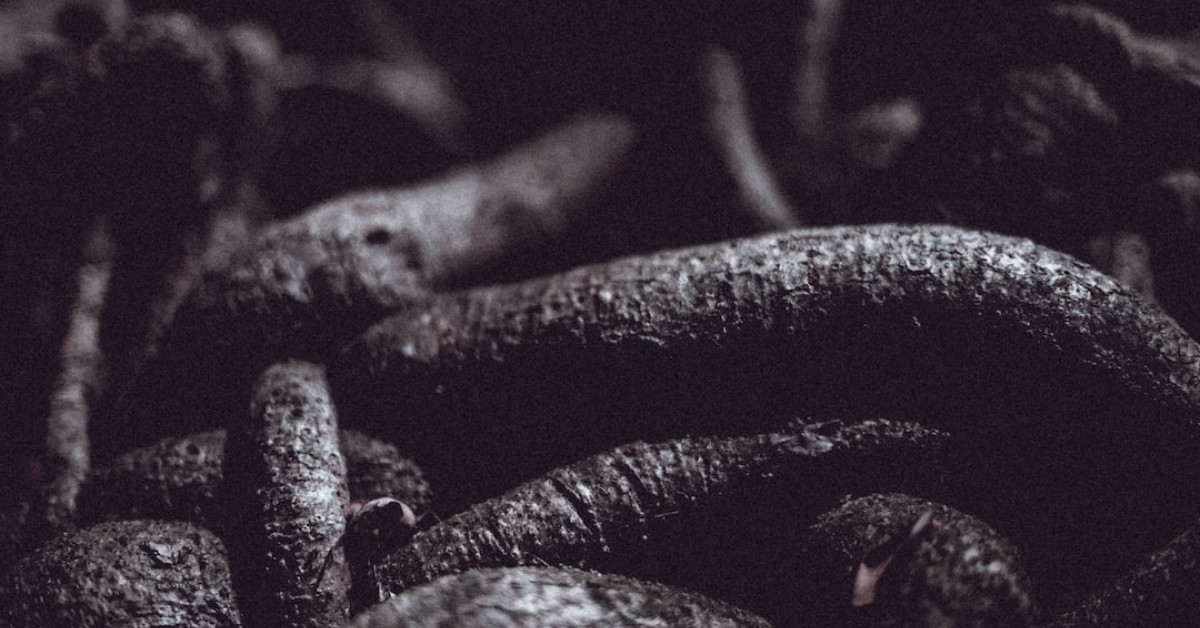 Coffee vs Twisted Tea comparison infographic.