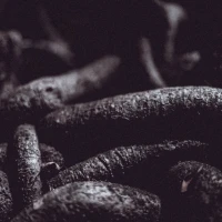 Coffee vs Twisted Tea comparison infographic. Coffee vs Twisted Tea comparison infographic.