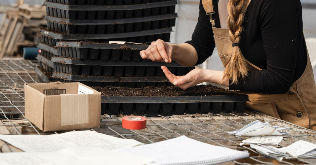 Cabbage companion planting guide for a productive garden.